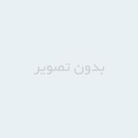 بررسي عوامل مؤثر بر طرح تكريم ازديدگاه ارباب رجوع در وزارت كار امور اجتماعي